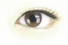 eyelid crease dr. brett kotlus eyelid crease